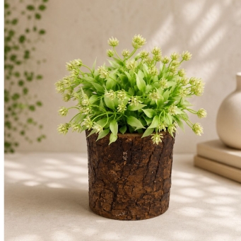 Vases