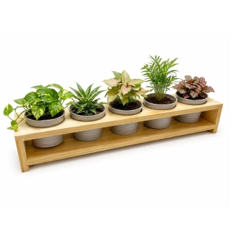 Vases